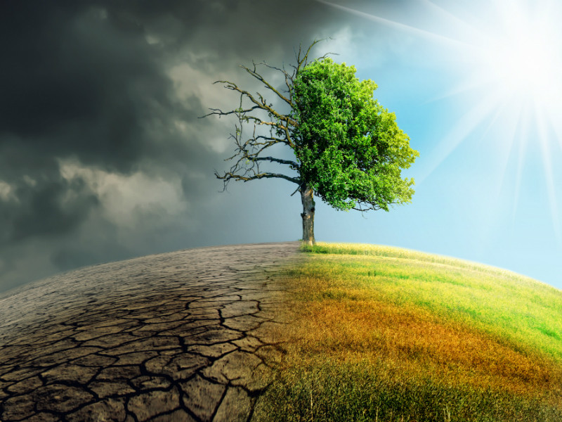 Giáo sư Michael lấy dẫn chứng một cuộc đại tuyệt chủng lớn trong lịch sử có liên quan đến biến đổi khí hậu.