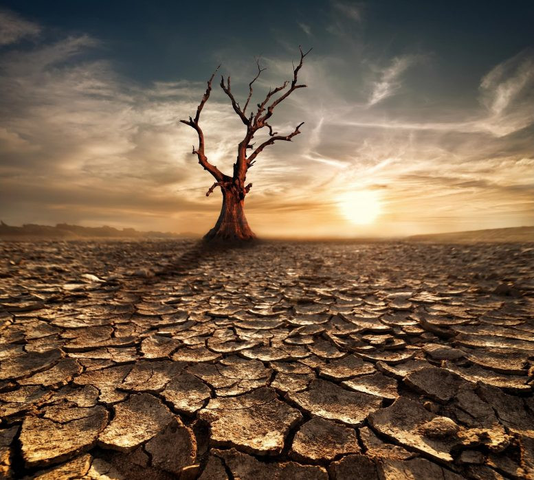 Cụ thể, vào hơn 440 triệu năm trước, khí hậu có sự thay đổi lớn khiến khoảng 85% các loài trên Trái đất bị xóa sổ.