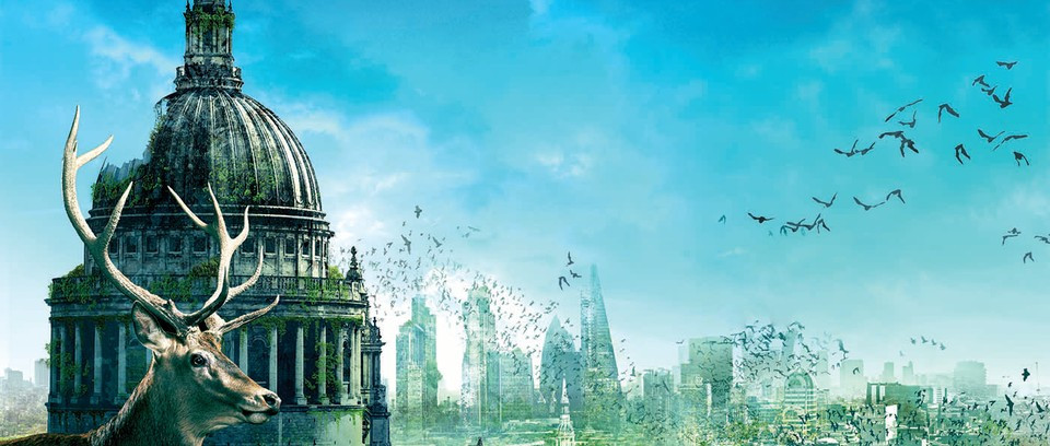 Giáo sư Michael Mann, nhà khoa học khí hậu tại Đại học Penn State (Mỹ) đã có những nghiên cứu về tác động của biến đổi khí hậu và lần thế giới suýt tuyệt chủng vào hơn 440 triệu năm trước.