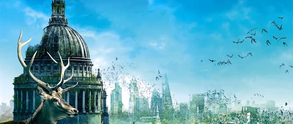 Giáo sư Michael Mann, nhà khoa học khí hậu tại Đại học Penn State (Mỹ) đã có những nghiên cứu về tác động của biến đổi khí hậu và lần thế giới suýt tuyệt chủng vào hơn 440 triệu năm trước.