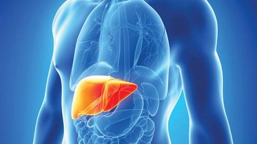 Những loại hoa quả ngâm chất độc CO2,4D sau khi được nạp vào cơ thể sẽ tồn đọng trong gan và gây tổn thương cho gan. Tùy thuộc vào liều lượng nạp vào cũng như thời gian CO2,4D tồn đọng bên trong cơ thể, chất động này có thể hủy hoại mô gan, để lại hậu quả xơ gan, giảm chức năng gan, viêm gan với các triệu chứng vàng da, vàng mắt.