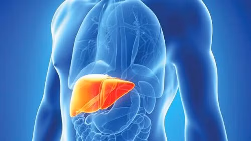 Những loại hoa quả ngâm chất độc CO2,4D sau khi được nạp vào cơ thể sẽ tồn đọng trong gan và gây tổn thương cho gan. Tùy thuộc vào liều lượng nạp vào cũng như thời gian CO2,4D tồn đọng bên trong cơ thể, chất động này có thể hủy hoại mô gan, để lại hậu quả xơ gan, giảm chức năng gan, viêm gan với các triệu chứng vàng da, vàng mắt.