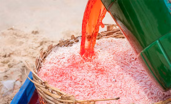 Khong ket luan duoc loai pham mau nhuom ruoc