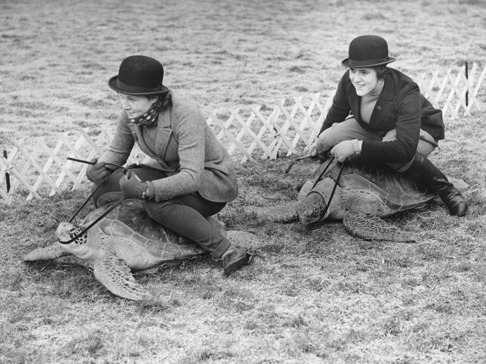 Chị em nhà Lusty, Diana và Zena, thử "cưỡi" rùa vào khoảng năm 1936.