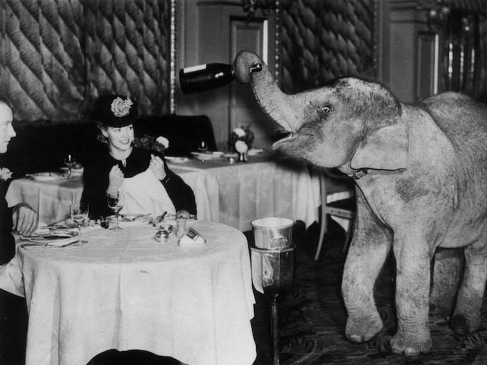 Comet, chú voi đến từ sở thú Chessington, làm "bồi bàn" vào cuối tuần tại nhà hàng Trocadero ở London. Bức ảnh ấn tượng này được chụp vào khoảng năm 1938.
