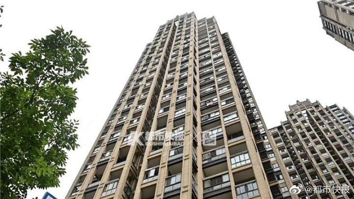 Con dao bay qua cửa sổ căn hộ chung cư của họ và rơi xuống đường.