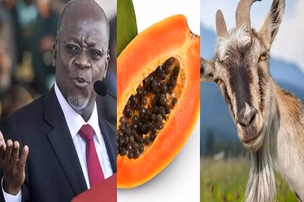 Kho tin du du xet nghiem duong tinh voi COVID-19