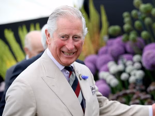 Bat ngo dien mao cua cac thanh vien Hoang gia Anh luc 5 tuoi-Hinh-12