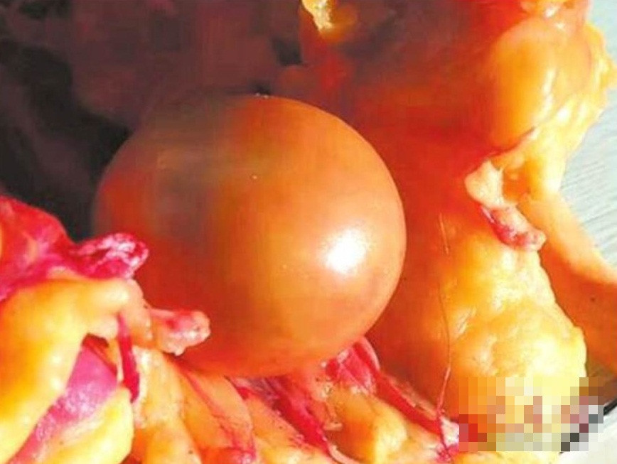 Nuoi vit duc 5 nam moi mo, phat hien kho bau ngang sieu xe