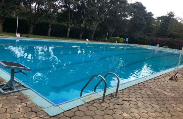 Một người trung bình sản xuất khoảng 2 lít nước bọt mỗi ngày. Giả sử bạn sống từ 80 đến 85 năm, bạn sẽ có thể tiết ra lượng nước bọt đủ để lấp đầy không chỉ một, mà là hai bể bơi.