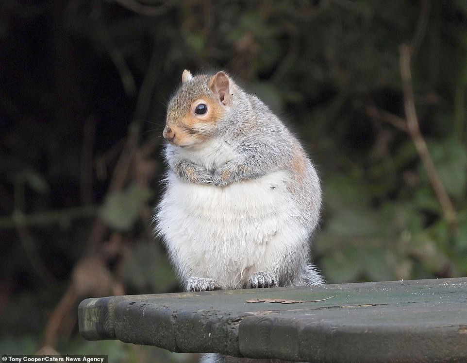 Don nam moi, soc xam an tha phanh, len can vu vu cuc yeu