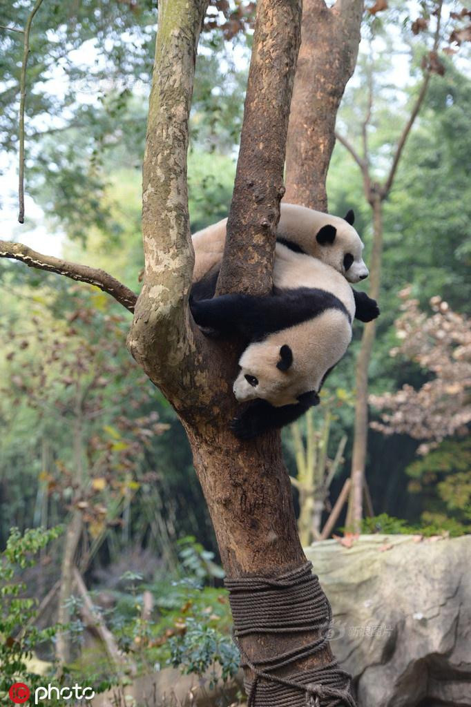 Troi lanh, dang tinh tu bi 