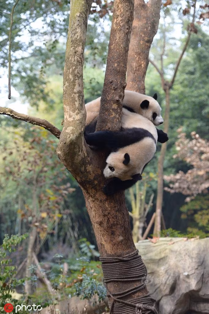 Troi lanh, dang tinh tu bi 