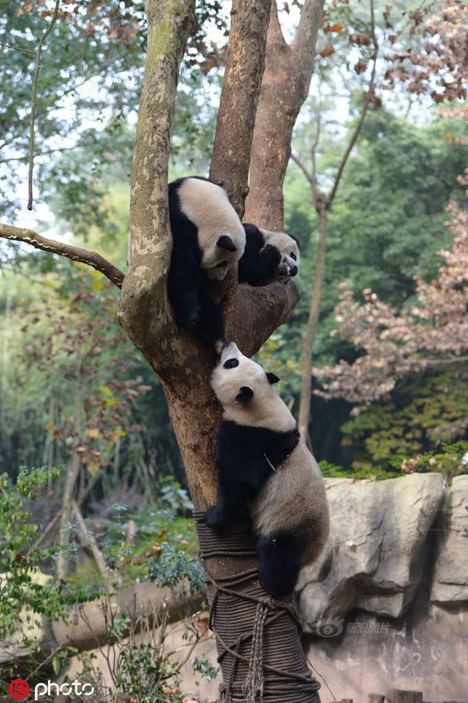 Troi lanh, dang tinh tu bi 