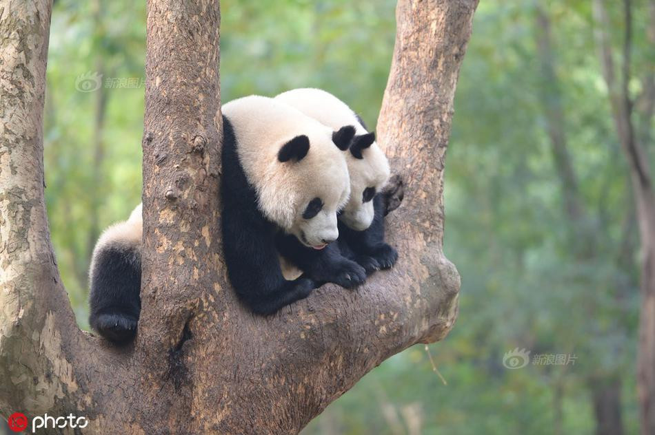 Troi lanh, dang tinh tu bi 