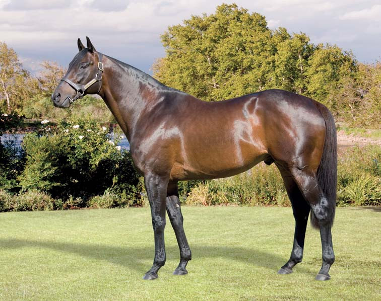 Một số nhà khoa học tin rằng, chất đỏ chảy ra như mồ hôi của ngựa Đại Uyển có thể là do giun tròn ký sinh Parafilaria Multipapillosa gây ra. Loài giun tròn này ảnh hưởng đến những con ngựa, gây ra các nốt xuất huyết dưới da ở vùng đầu và các chi. Tuy vậy, cũng có nhiều chuyên gia phản đối giả thuyết này.