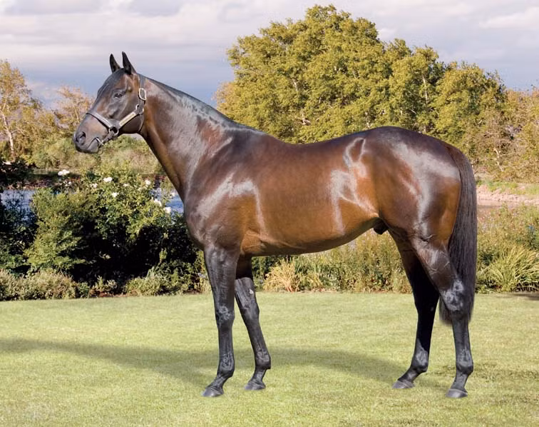 Một số nhà khoa học tin rằng, chất đỏ chảy ra như mồ hôi của ngựa Đại Uyển có thể là do giun tròn ký sinh Parafilaria Multipapillosa gây ra. Loài giun tròn này ảnh hưởng đến những con ngựa, gây ra các nốt xuất huyết dưới da ở vùng đầu và các chi. Tuy vậy, cũng có nhiều chuyên gia phản đối giả thuyết này.