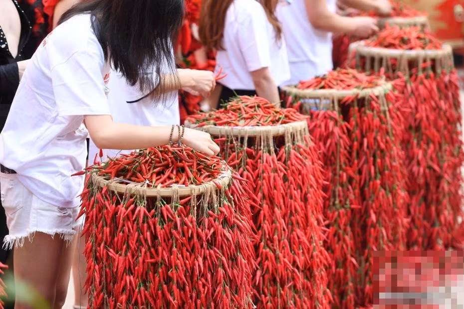 Nong bung nguoi voi cuoc thi an ot chi thien sieu cay-Hinh-4