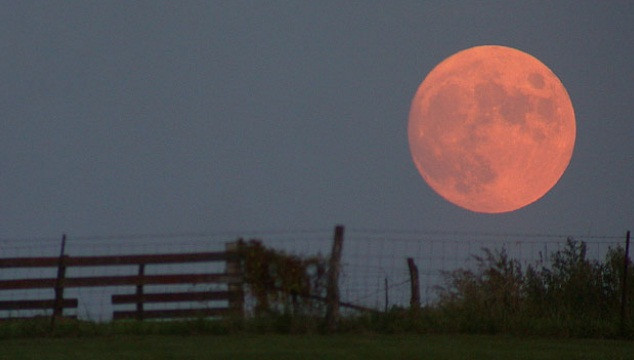 Bạn có bao giờ nhận thấy rằng khi mặt trăng ở gần đường chân trời, nó sẽ "co lại", trở nên bé hơn khi bạn làm ống nhòm bằng tay và nhìn lại qua ống nhòm này. Tại sao vậy? Vì bộ não của bạn điều chỉnh kích thước của mặt trăng trong mối quan hệ với một vật thể khác.