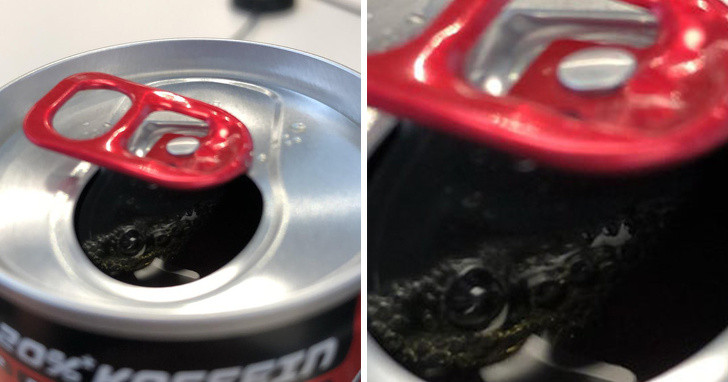 Lại thêm một hình ảnh phản chiếu gây nhầm lẫn, giống như có con cá sấu đang rình rập trong lon nước ngọt.