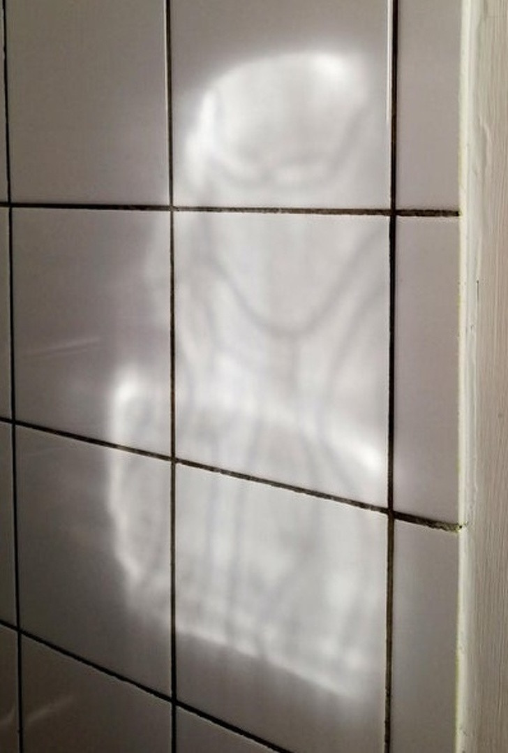 Hình ảnh phản chiếu lên gạch men trong nhà trông hệt như một tên lính ngoài hành tinh Stormtrooper đang rình rập.