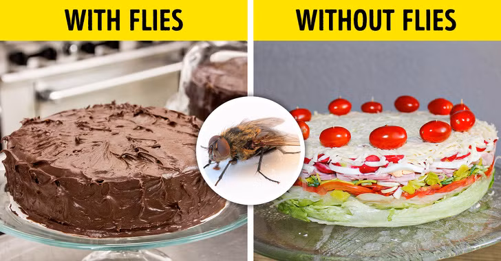 Một thế giới không có ruồi là một thế giới không có socola. Ruồi vốn mang tiếng xấu, chúng bẩn, truyền bệnh và gây ra âm thanh ù ù rất khó chịu. Thế nhưng ruồi cũng tác động tích cực đến môi trường, giúp con người sống dễ dàng hơn. Nếu ruồi biến mất, xác động vật sẽ phân hủy lâu hơn, một số loài cây quan trọng cũng không còn được thụ phấn, trong đó có cây ca cao. Vì vậy, nếu ruồi tuyệt chủng, con người cũng sẽ không còn socola mà ăn.