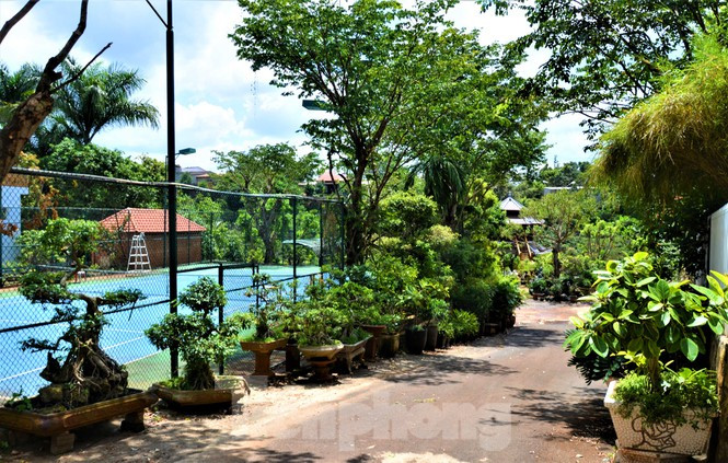 Nha lau 3 tang co ho boi xay tren dat nong nghiep cua nu thuong uy-Hinh-2