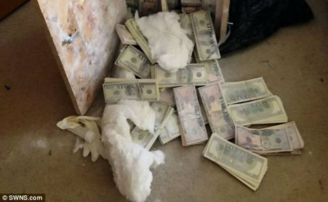 Năm 2014, một đội quay phim truyền hình đang thực hiện các cảnh quay ở Anh thì phát hiện một tủ gỗ nhỏ trong căn hộ ở đông London.