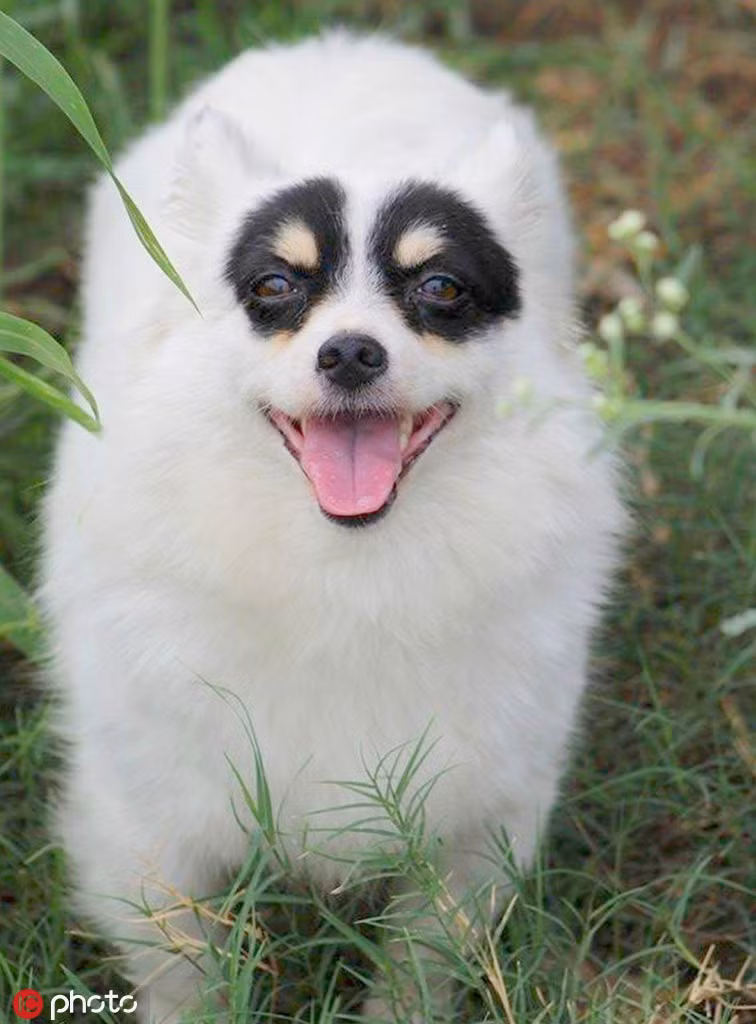 Cho mat na gay sot nho ve ngoai giong anh hung-Hinh-3