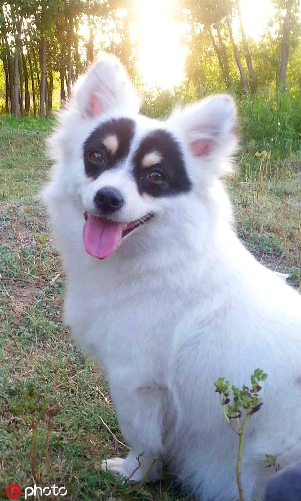 Cho mat na gay sot nho ve ngoai giong anh hung-Hinh-4