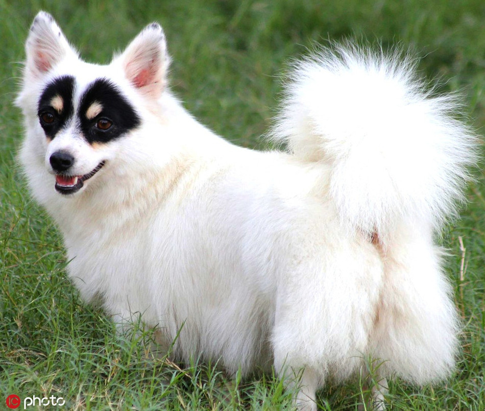 Cho mat na gay sot nho ve ngoai giong anh hung