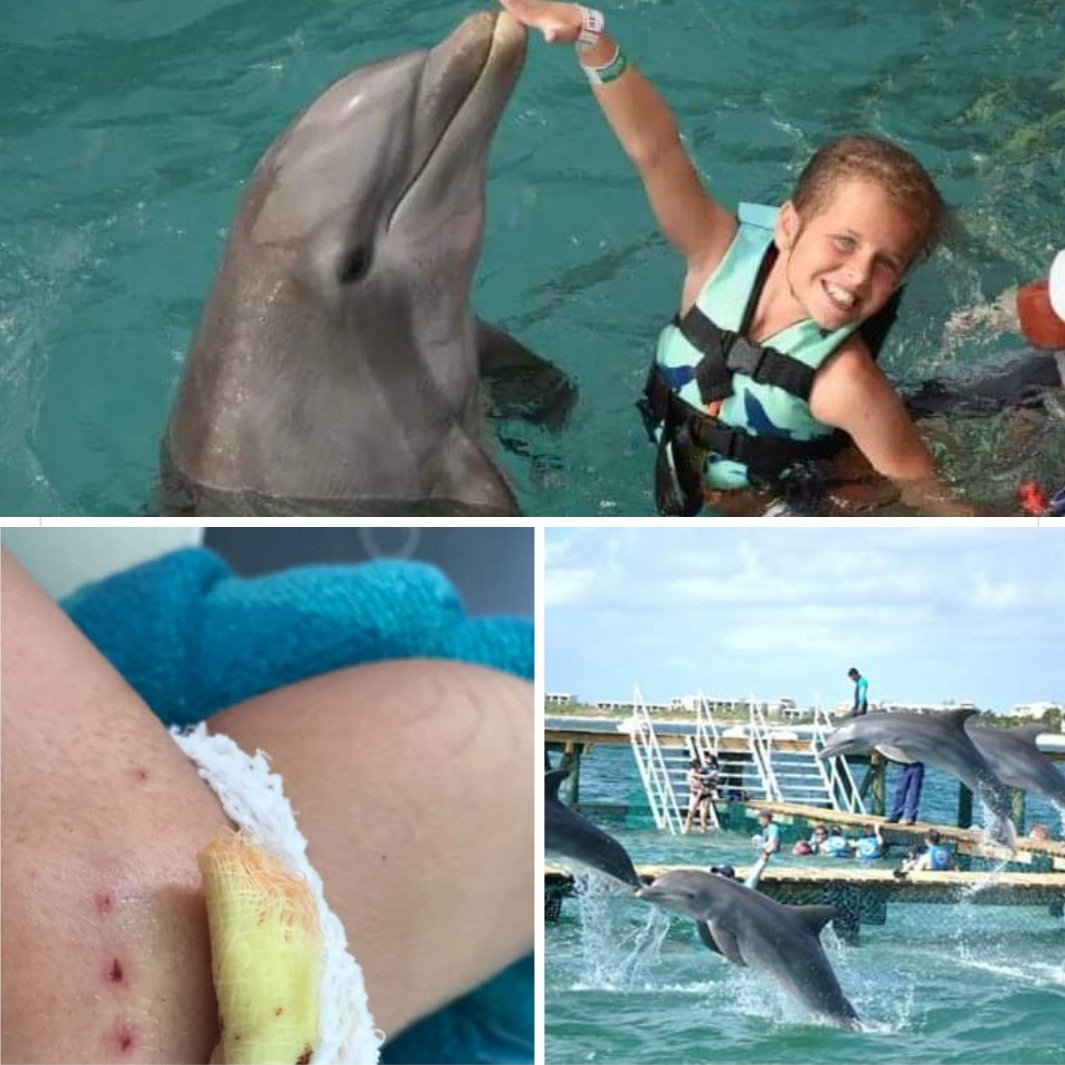 Ca heo noi dien tan cong, quyet tam dim chet be gai