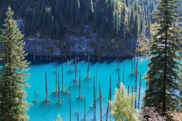 Rừng chìm hay rừng dưới nước, rừng mọc ngược ở Kazakhstan là một trong những khu rừng kỳ bí nhất thế giới.