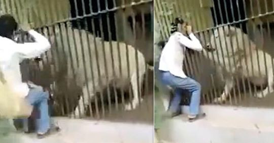 Su tu noi dien tan cong nguoi cham soc, suyt 