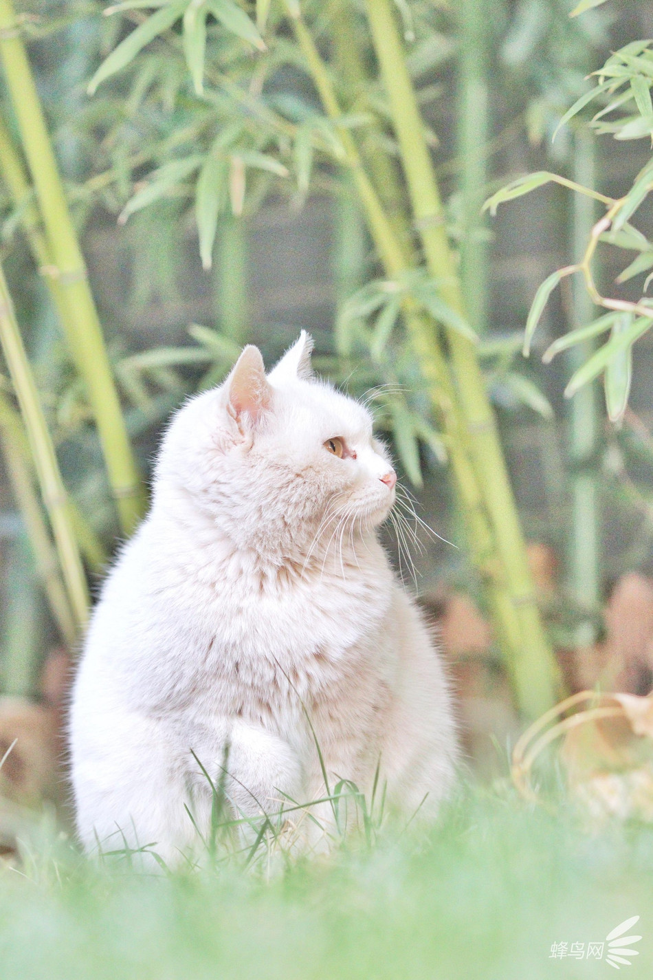 khiến con người không dám trêu ghẹo.