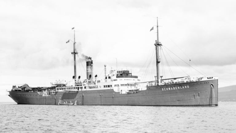 Một trong hai mục tiêu của phát xít Đức khi thực hiện chuyến thám hiểm này là nhằm xây dựng lại và mở rộng đội tàu đánh bắt cá voi cũng như kiểm tra vũ khí trong điều kiện thời tiết khắc nghiệt.