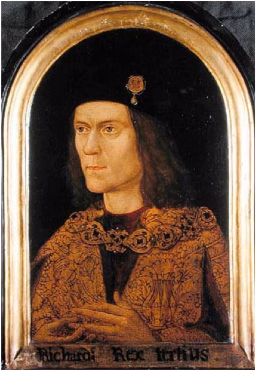 Những vết thương trên thi hài Vua Richard III cũng hoàn toàn phù hợp với các ghi chép lịch sử viết rằng ông hoàng nước Anh này đã bỏ ngựa sau khi bị mắc kẹt trong vũng bùn và cuối cùng tử trận trong lúc giao chiến. Mời quý độc giả xem video: Tái hiện trận chiến lịch sử của Hoàng đế Napoleon (nguồn: VTC14)