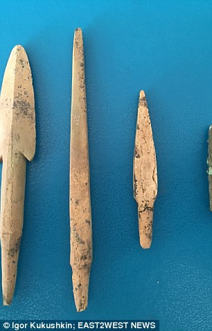 Các bằng chứng cũng chỉ ra hai con ngựa bị giết và được chôn cấy có chủ ý để tạo thành cỗ xe ngựa.