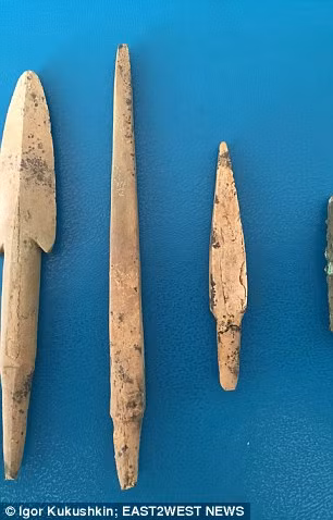 Các bằng chứng cũng chỉ ra hai con ngựa bị giết và được chôn cấy có chủ ý để tạo thành cỗ xe ngựa.