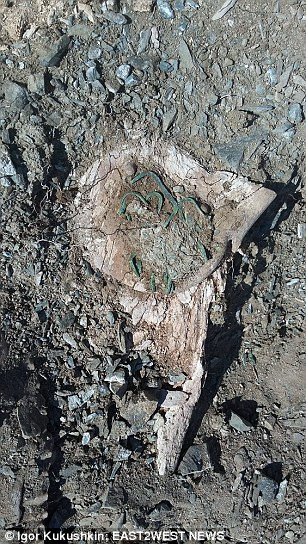 Theo các nhà khảo cổ, thi hài cặp đôi ''Romeo và Juliet'' có thể thuộc về một cặp vợ chồng.