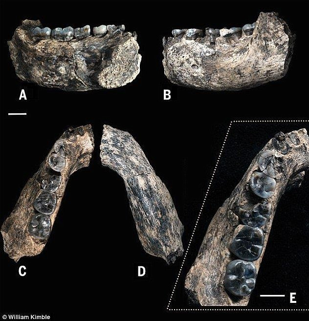 Tuy nhiên, các chuyên gia nhận định những mảnh xương động vật trên không thể thể là bằng chứng cho thấy các công cụ được người xưa sử dụng để săn bắn.