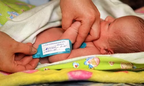 Ảnh minh họa: Moe-online.ru/east2west news