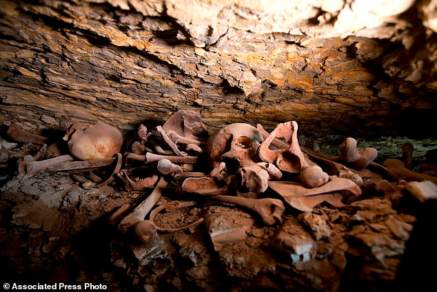 Bên trong xưởng xác ướp trên, các nhà khảo cổ học phát hiện một số lượng lớn đồ gốm, bát và cốc.