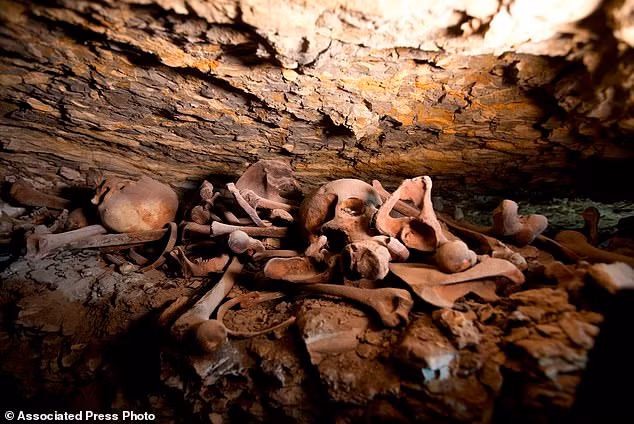 Bên trong xưởng xác ướp trên, các nhà khảo cổ học phát hiện một số lượng lớn đồ gốm, bát và cốc.