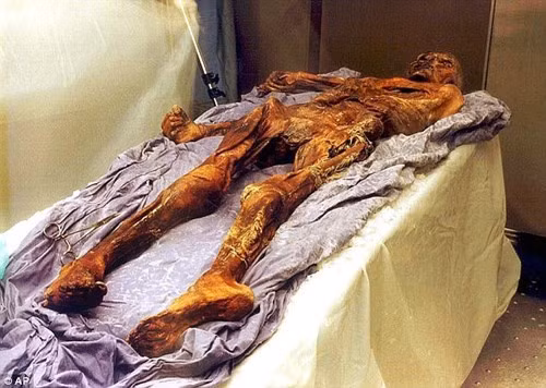 Hiện các chuyên gia vẫn chưa thể giải mã vì sao người băng Otzi ăn dương xỉ độc hại.