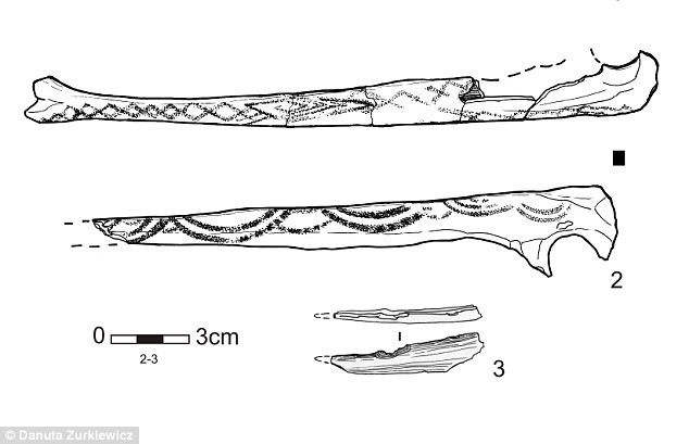 Trước những hình vẽ bí ẩn được khắc trên xương của người phụ nữ 4.500 tuổi, các nhà khoa học suy đoán người này có thể là một thành viên quan trọng trong xã hội thời ấy.