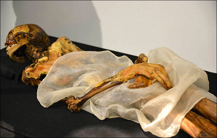 Bất chấp quan ngại của người dân về lời nguyền chết chóc, các nhà khoa học vẫn di chuyển xác ướp "Công chúa Altai" để phục vụ công tác nghiên cứu. Tuy nhiên, trong lúc xác ướp được đưa lên máy bay thì động cơ đột nhiên bị tắt. Phi công mãi mới hạ cánh khẩn cấp được.