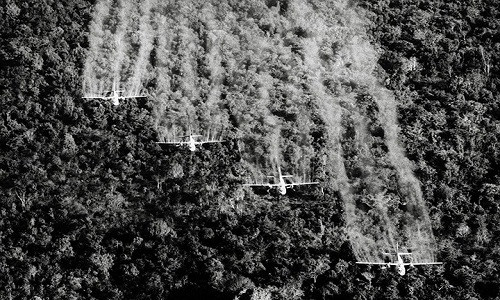 Máy bay "Ranch Hand" C-123 của Mỹ rải chất độc diệt cỏ lên các cánh rừng tháng 9/1965.