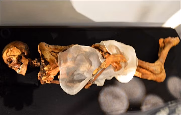 Bên trong ngôi mộ là quan tài chứa xác ướp một phụ nữ trẻ. Căn cứ vào những trang phục và những món đồ tùy táng được phát hiện trong ngôi mộ, các chuyên gia xác định người này thuộc tầng lớp quý tộc. Do vậy, người ta đặt tên cho xác ướp là "Công chúa Altai".