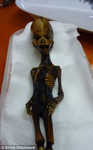 Cụ thể, theo chính phủ Chile, xác ướp Ata được đưa ra khỏi nước này bất hợp pháp và các nghiên cứu về thi hài này không nên được tiến hành.